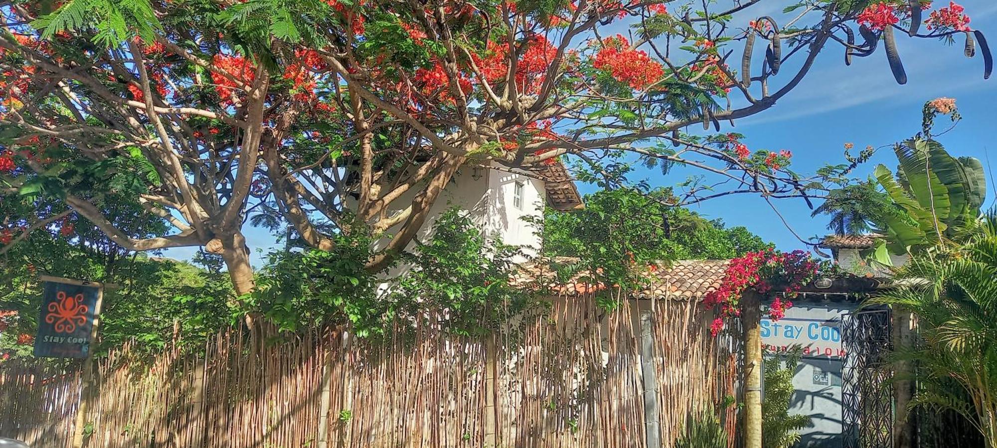 Stay Cool Pipa Praia de Pipa Exterior photo